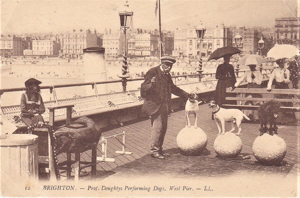 1908 professor Doughtys Performing Dogs, West Pier Brighton L.L 12 Postcard SUSSEX by mark's vintage topographical postcards