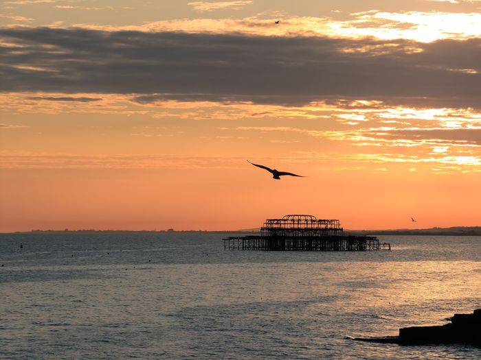Seagull over West Pier by James Petts from London, England
