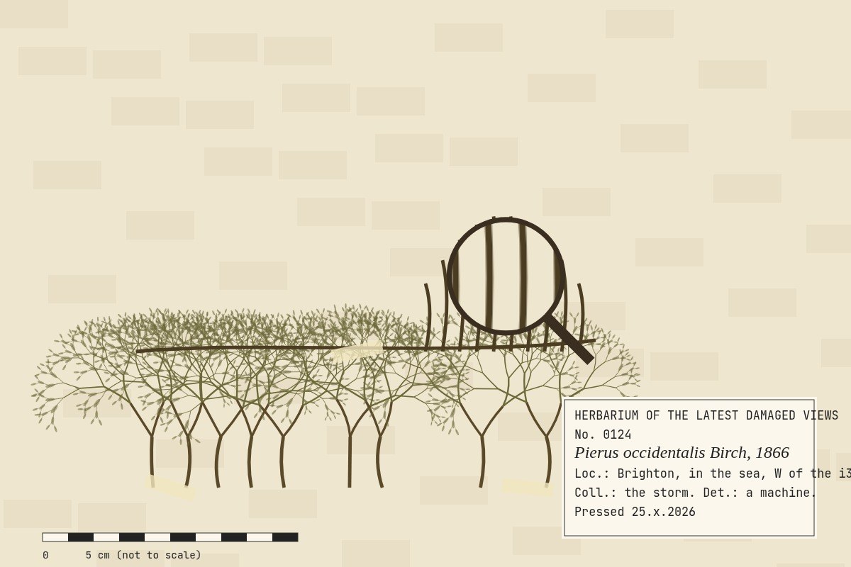 AI-made generative artwork: Pierus occidentalis, pressed. A stylised, animated image of Brighton West Pier, not a photograph.