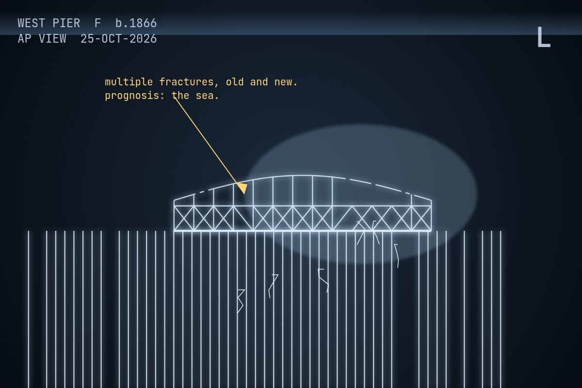 AI-made generative artwork: Radiograph, AP view. A stylised, animated image of Brighton West Pier, not a photograph.