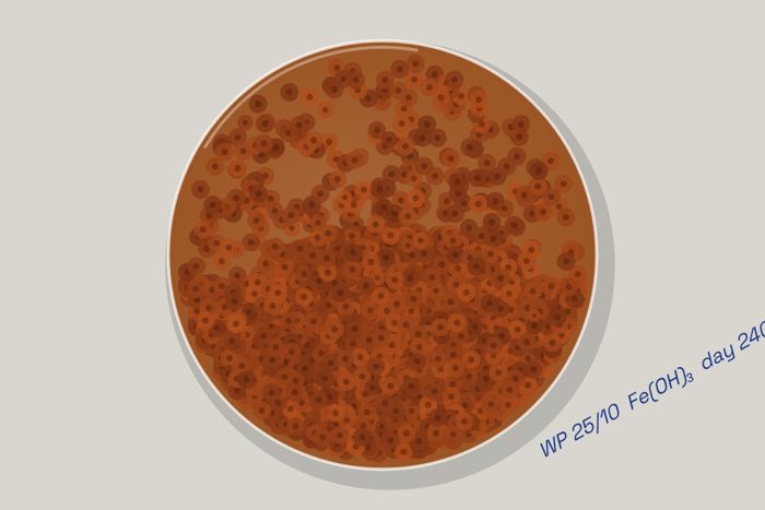 AI-made generative artwork: Rust culture, day 240. A stylised, animated image of Brighton West Pier, not a photograph.