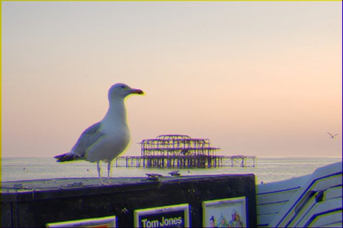 AI-made generative artwork: Herring gull, misregistered. A stylised, animated image of Brighton West Pier, not a photograph.