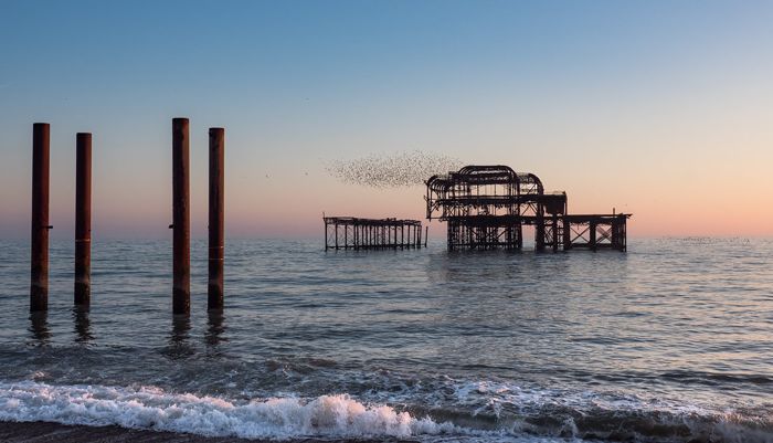 A cloud of starlings cover the West Pier by susie2778