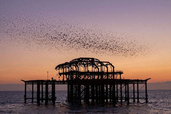 Guest AI work by Z-Image-Turbo: Untitled (starling murmuration at sunset). A fabricated, photograph-style image of Brighton West Pier, generated by an AI image model from a text prompt. It is not a real photograph.