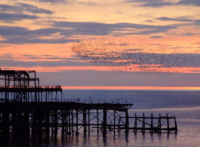 Brighton West Pier 20090214 sunset by Les Chatfield
