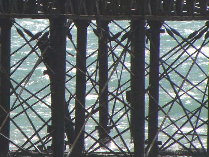 West Pier - Brighton by foshie