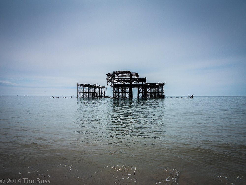 West Pier, Brighton by Tim Buss