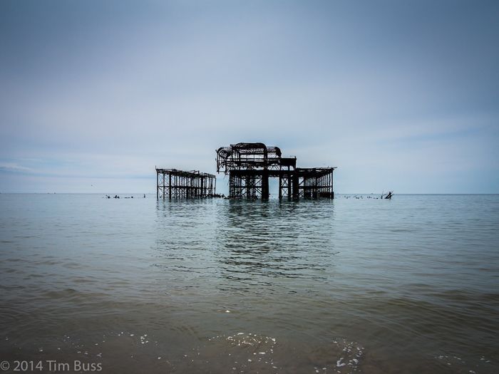 West Pier, Brighton by Tim Buss