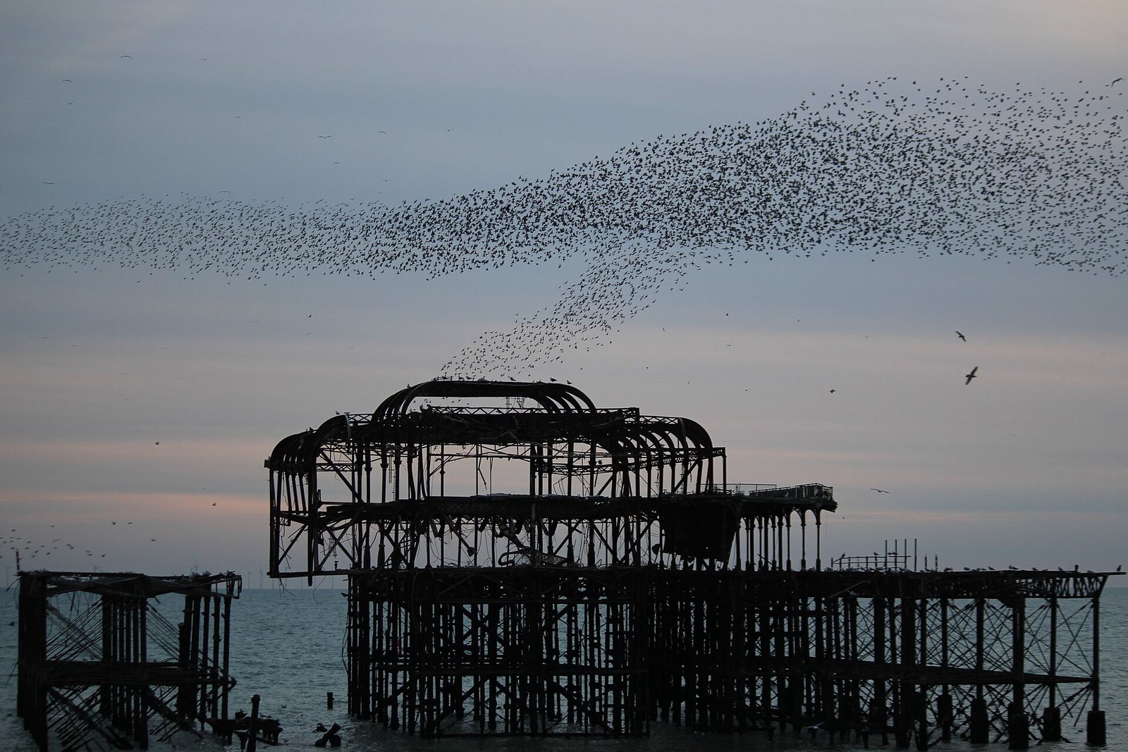 West Pier at dusk with murmuration of starlings by NormanofOxfordshire